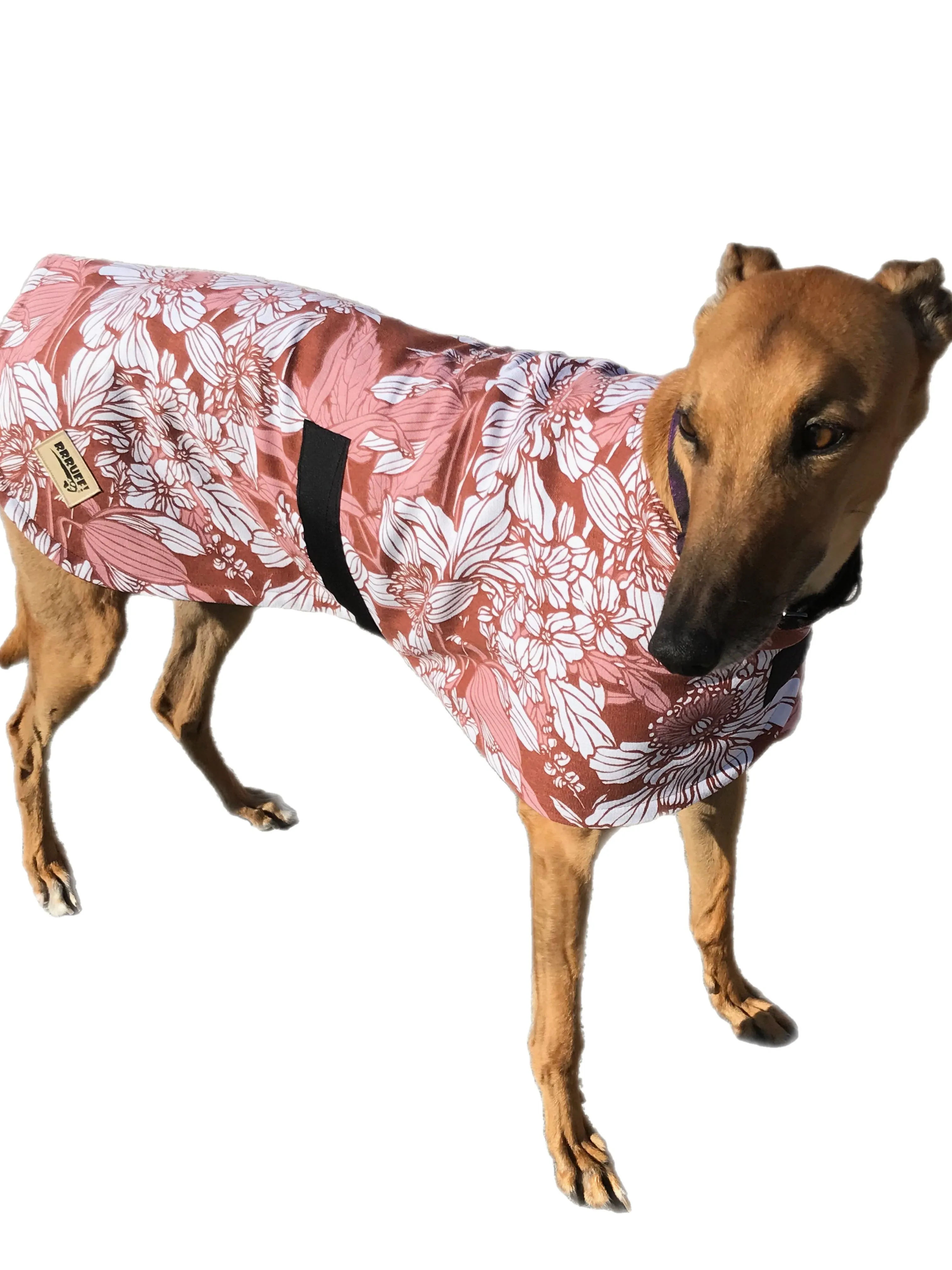 Autumn range classic style Greyhound coat in thick cotton & fleece washable