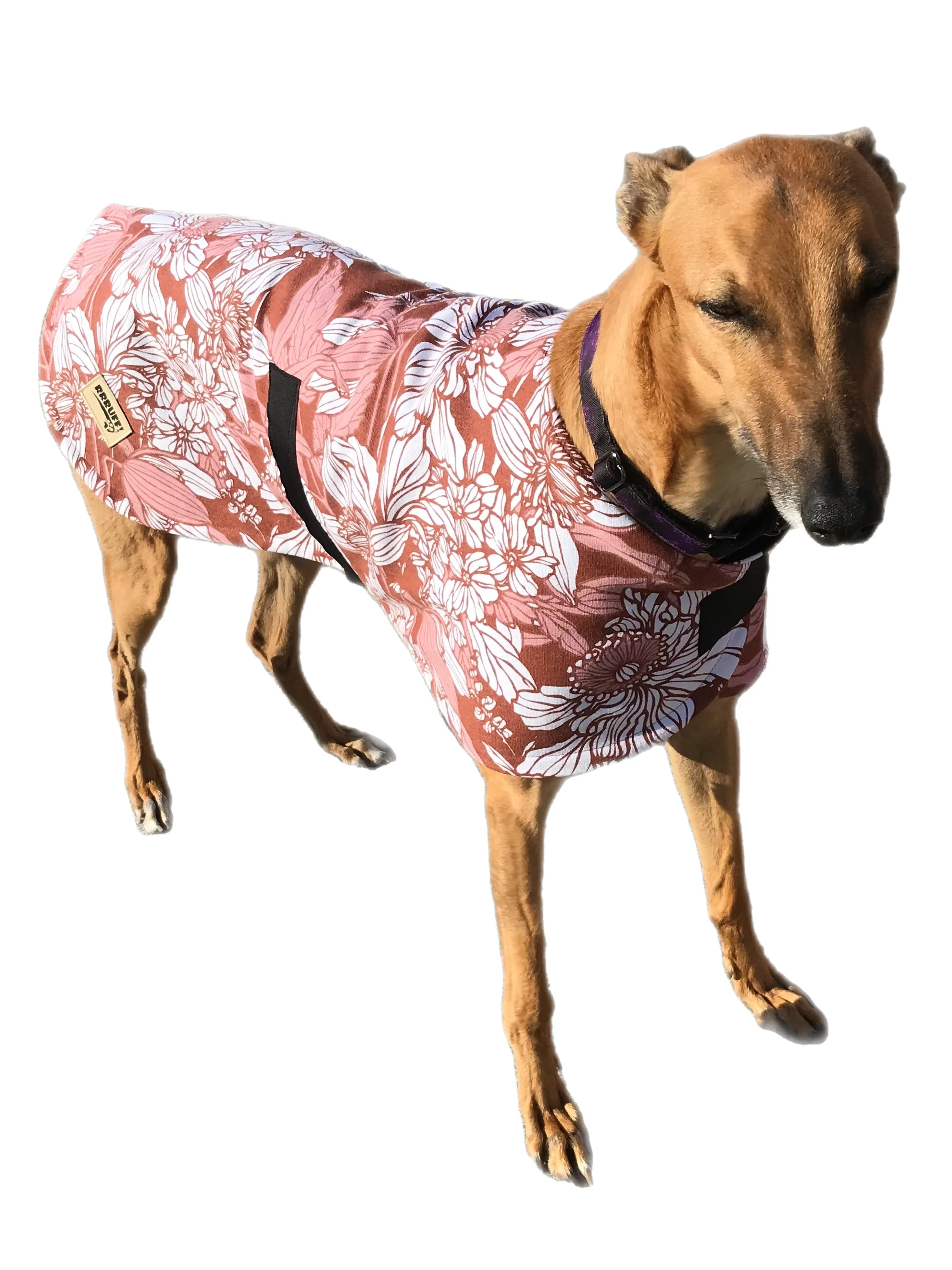 Autumn range classic style Greyhound coat in thick cotton & fleece washable