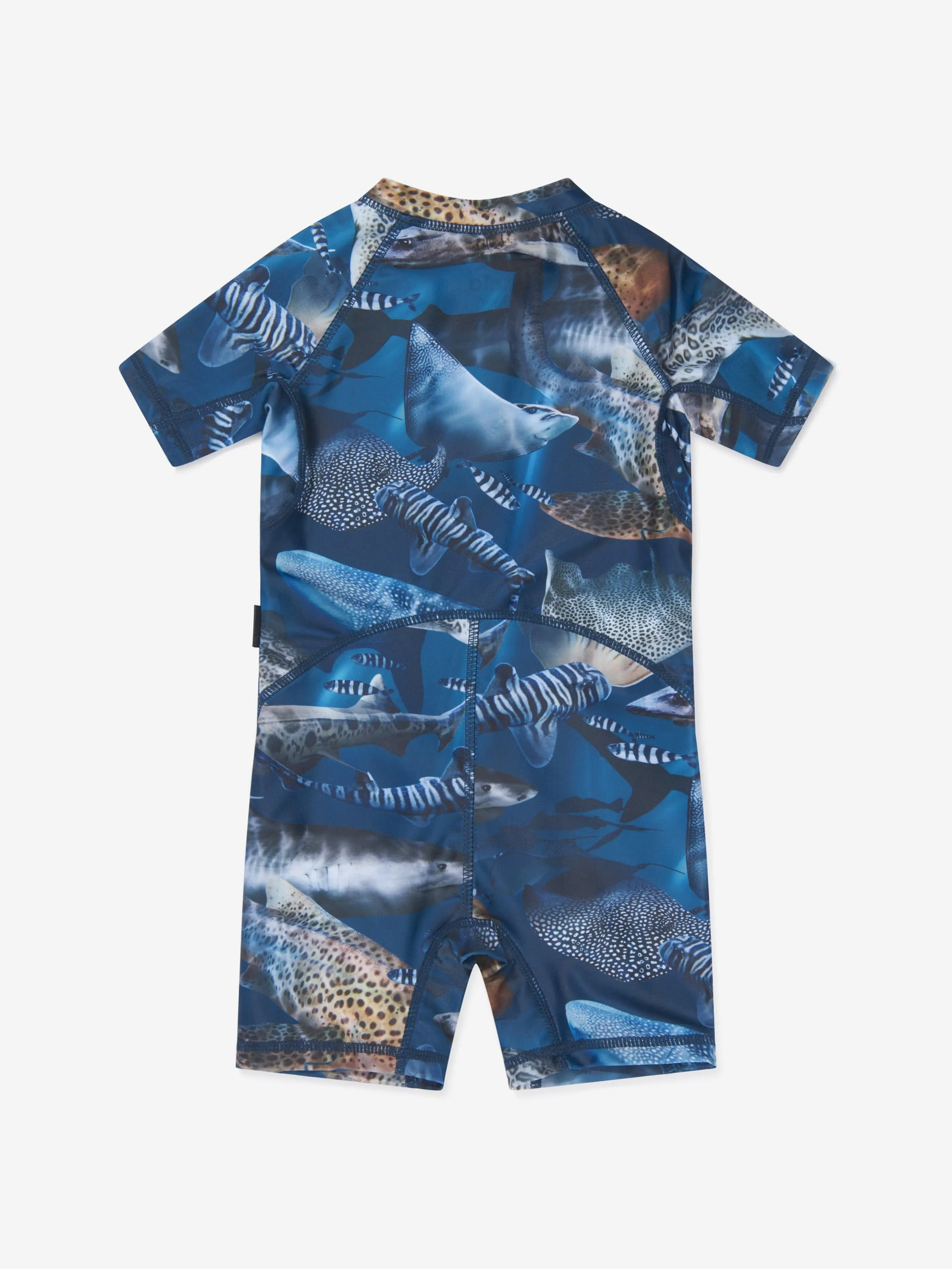 Baby Boys Amazing Sharks Protective Swimsuit