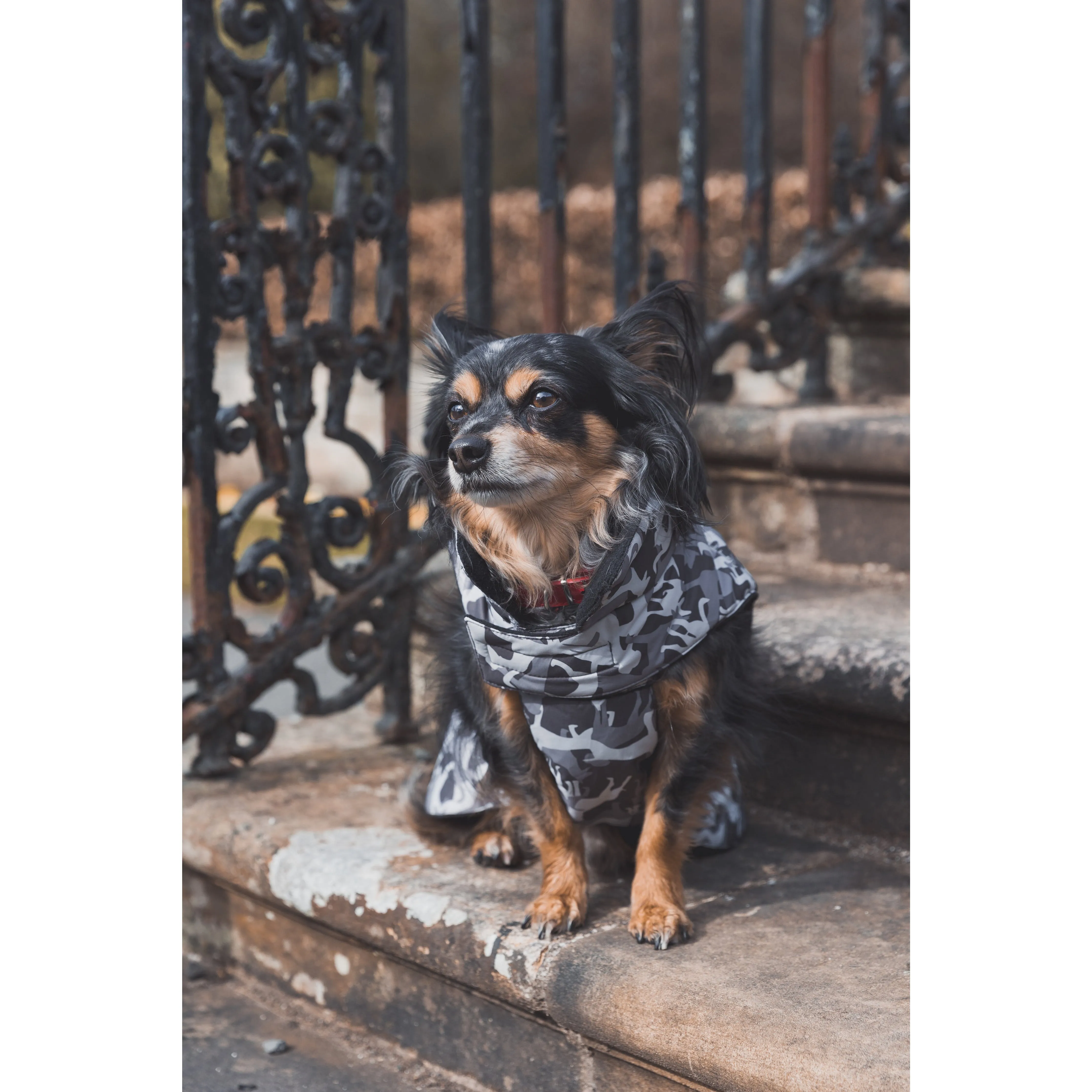 Charly Printed Waterproof Dog Coat in Camo Style