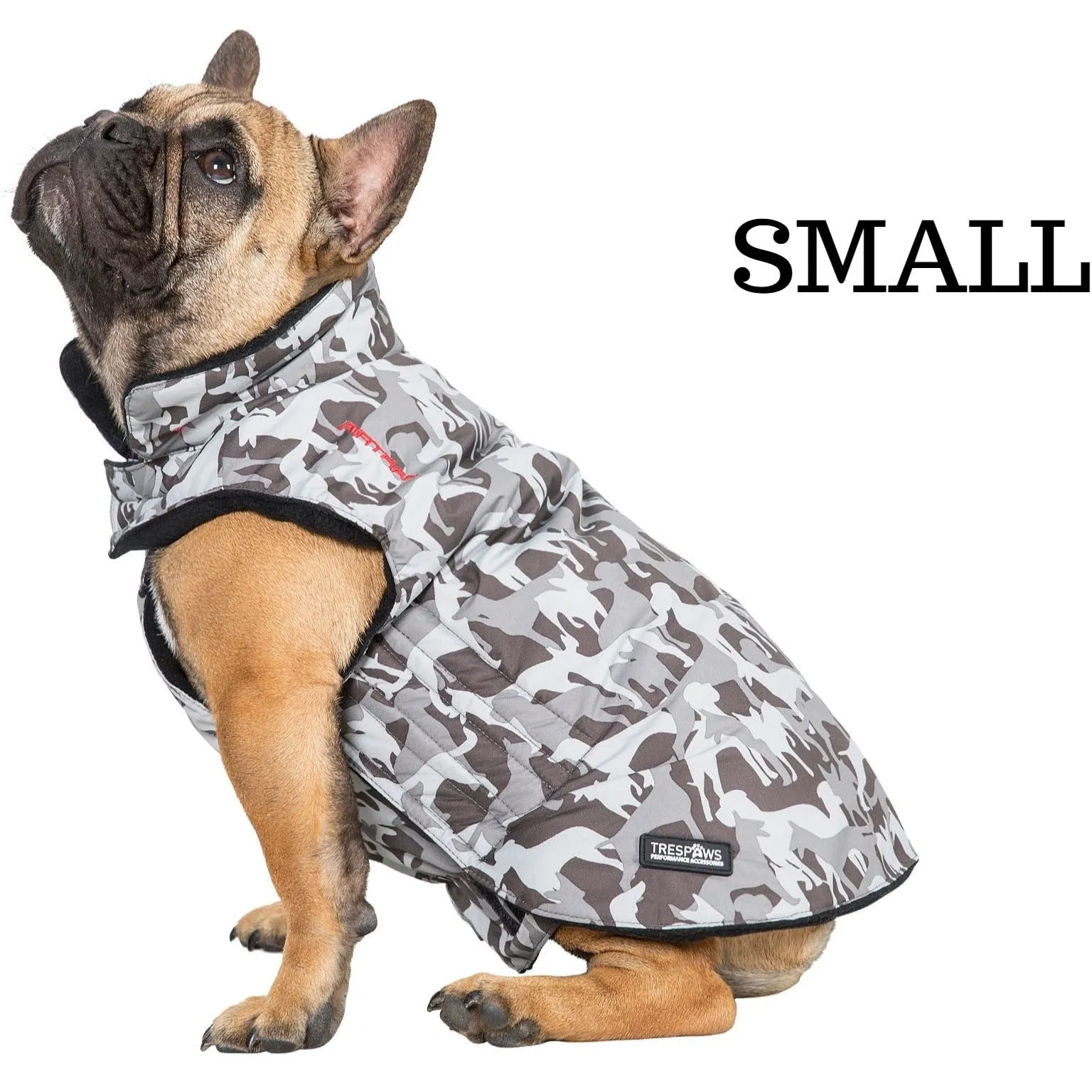 Charly Printed Waterproof Dog Coat in Camo Style