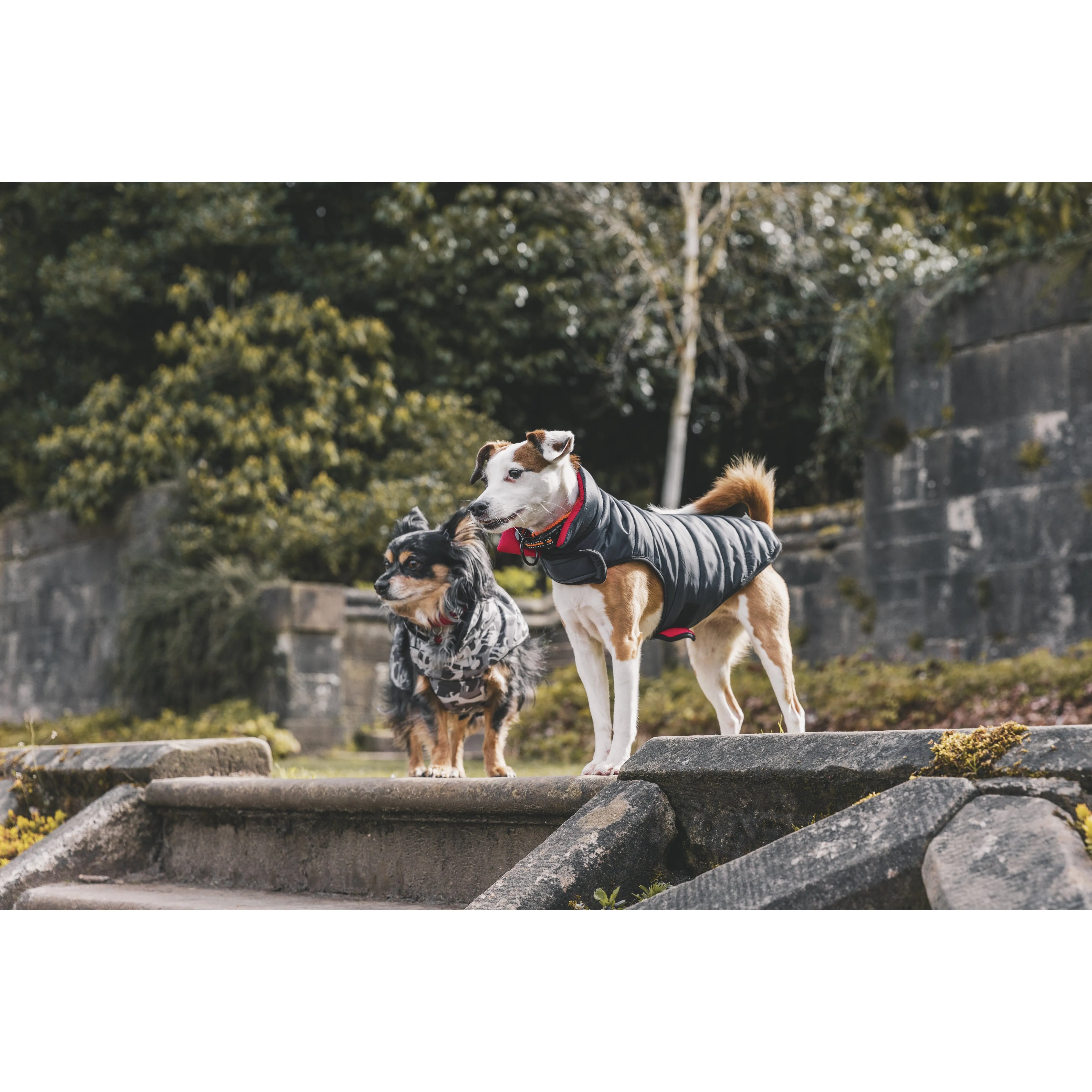 Charly Printed Waterproof Dog Coat in Camo Style