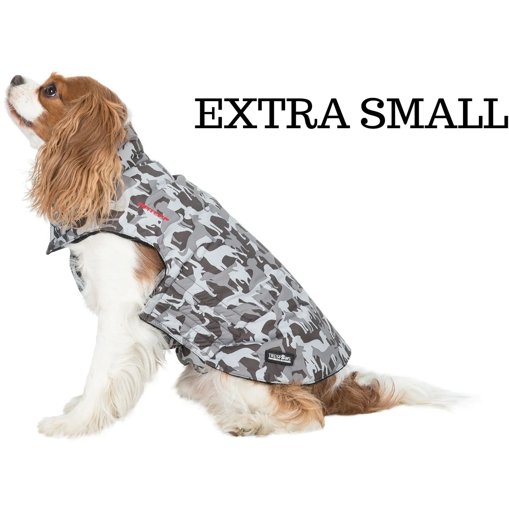 Charly Printed Waterproof Dog Coat in Camo Style