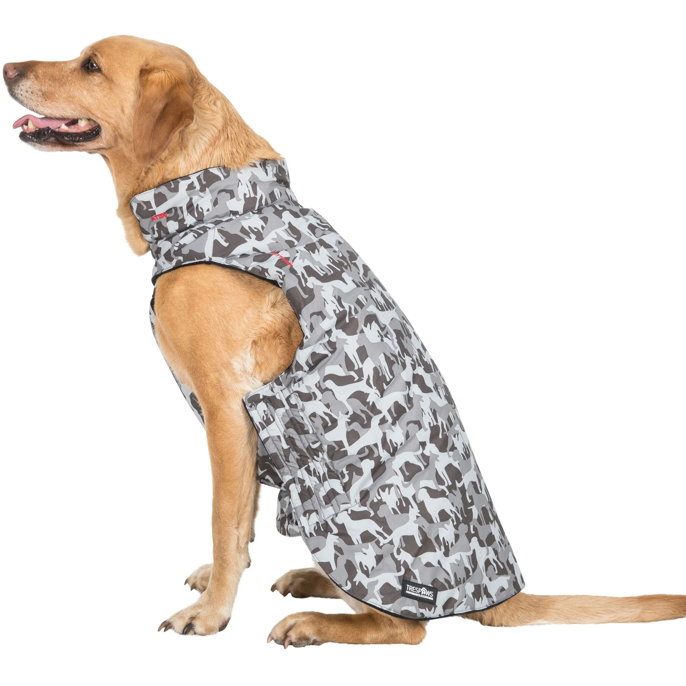 Charly Printed Waterproof Dog Coat in Camo Style