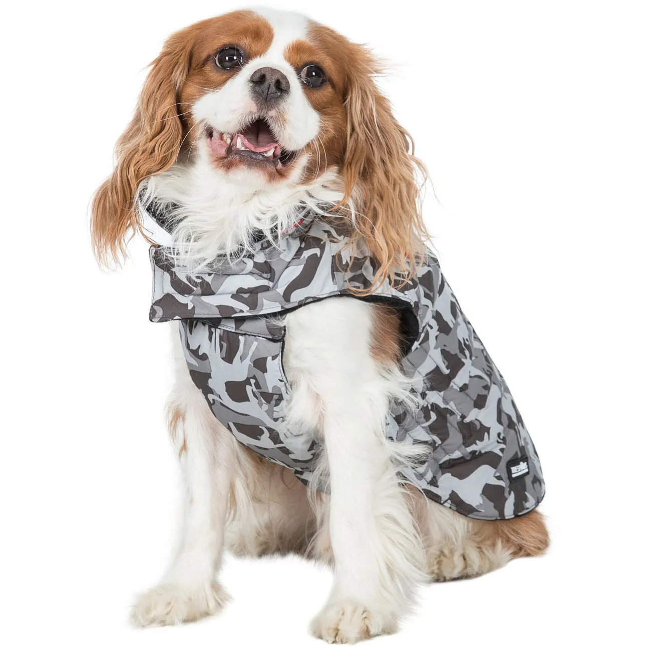 Charly Printed Waterproof Dog Coat in Camo Style