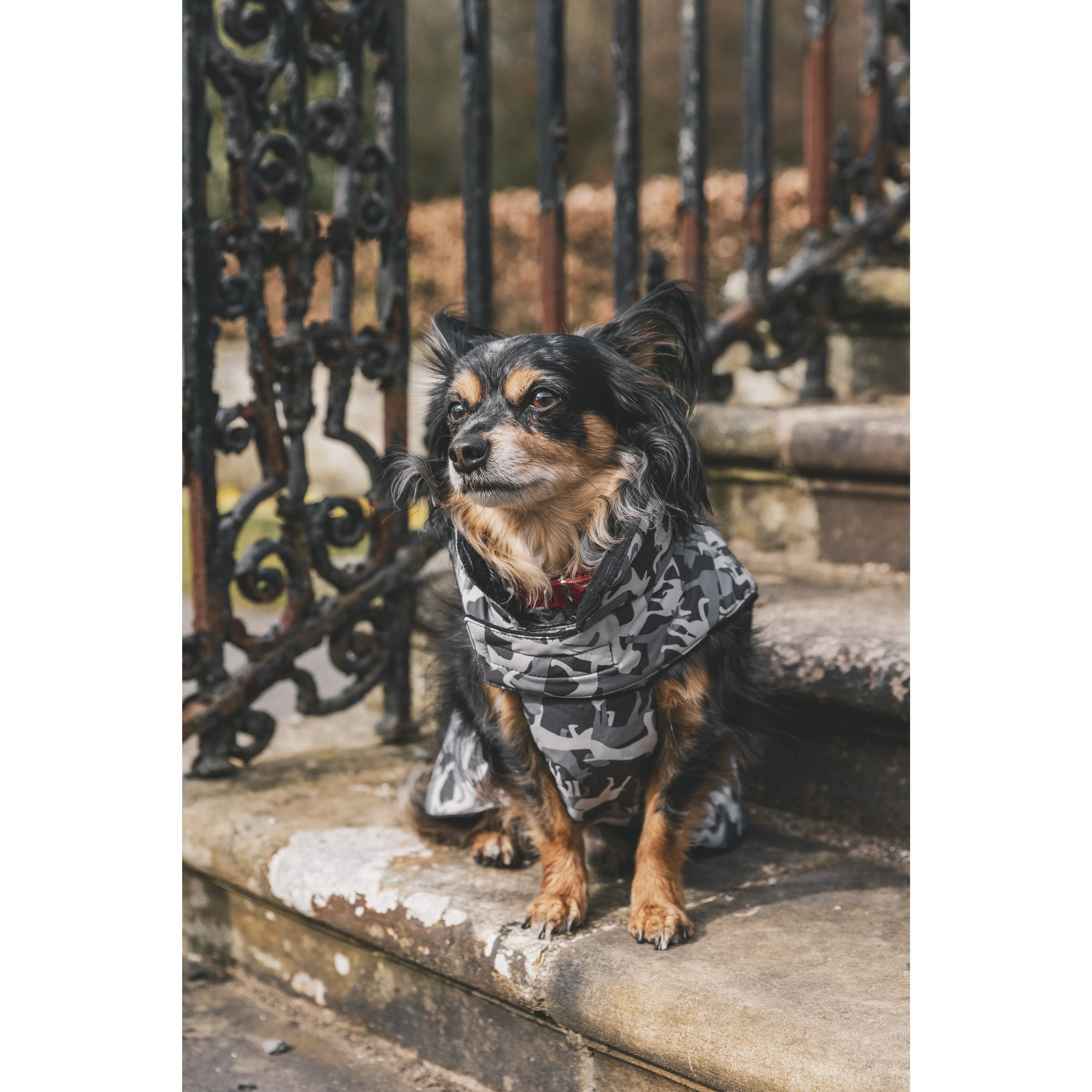 Charly Printed Waterproof Dog Coat in Camo Style