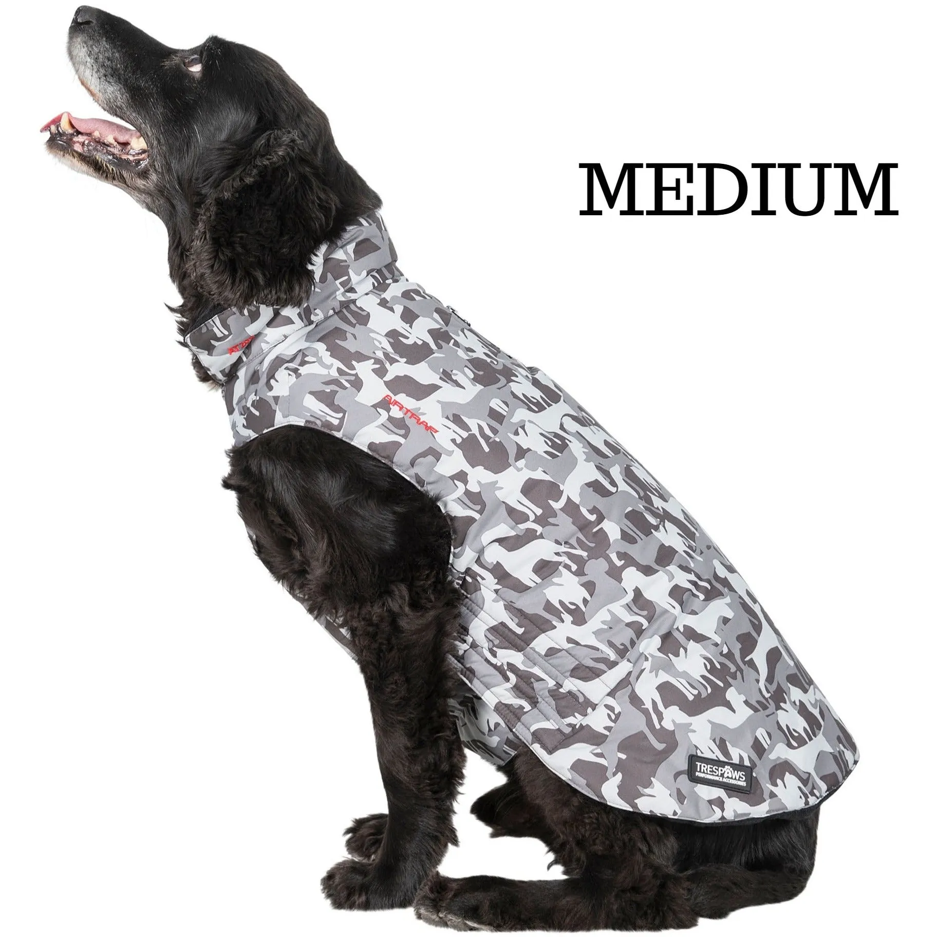 Charly Printed Waterproof Dog Coat in Camo Style