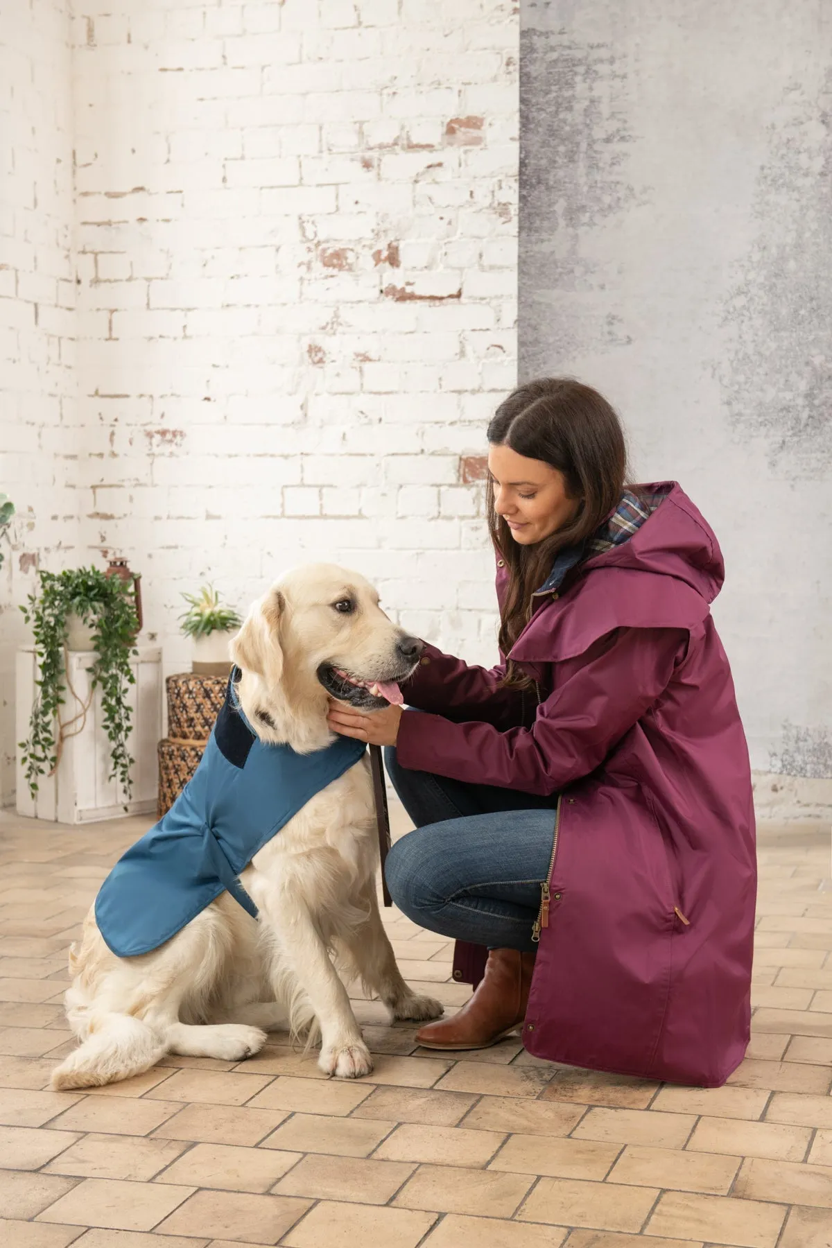 Heritage Dog Coat - Deep Sea